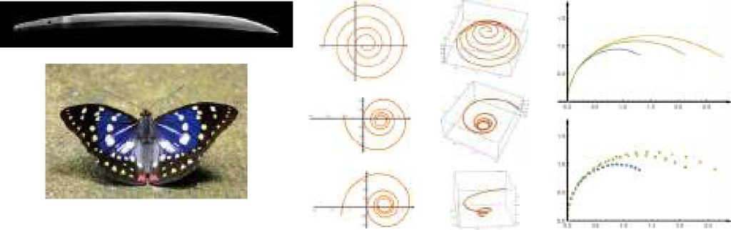離散微分幾何・可積分系 九州大学 マス・フォア・インダストリ研究所