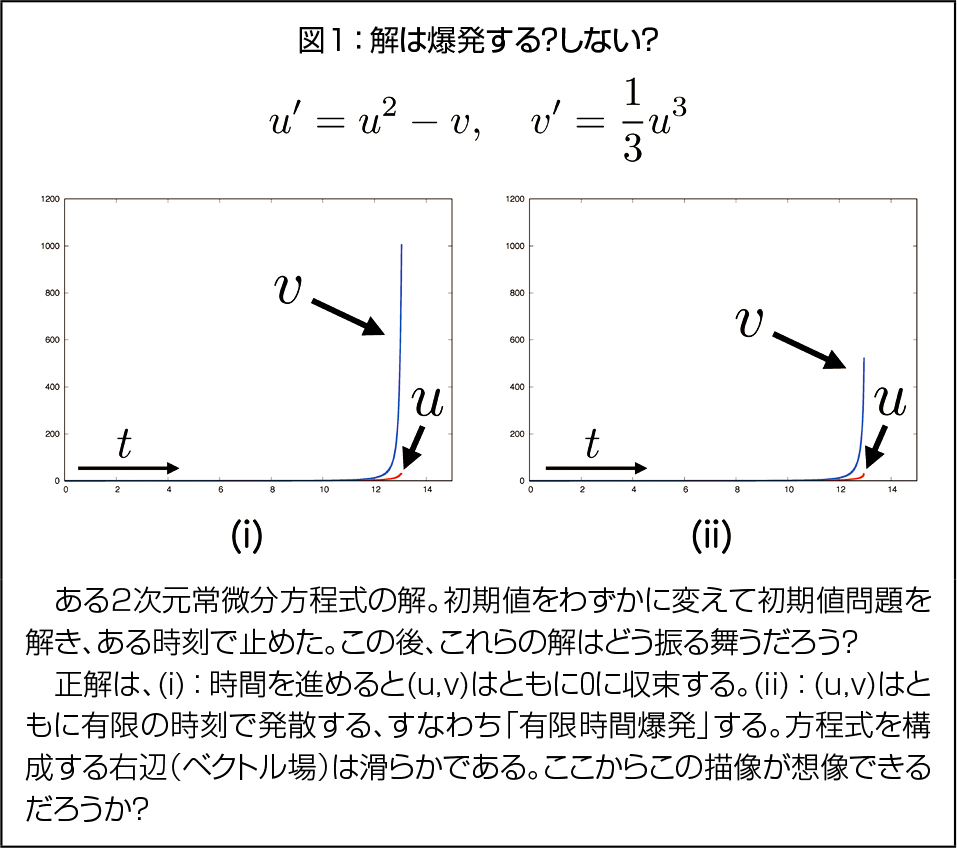 図１：解は爆発する？しない？