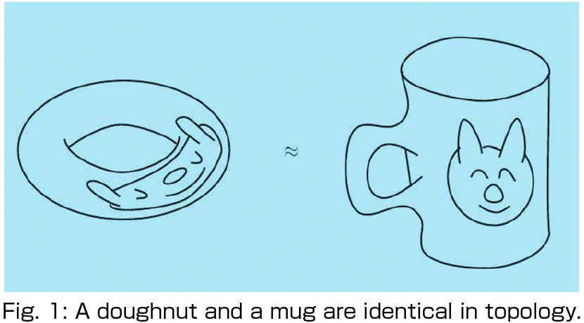 Fig. 1: A doughnut and a mug are identical in topology. 