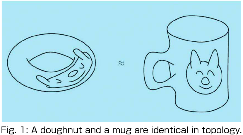 Fig. 1: A doughnut and a mug are identical in topology.
