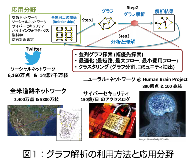 図１：グラフ解析の利用方法と応用分野