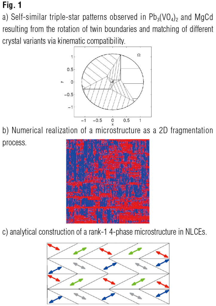 Fig1