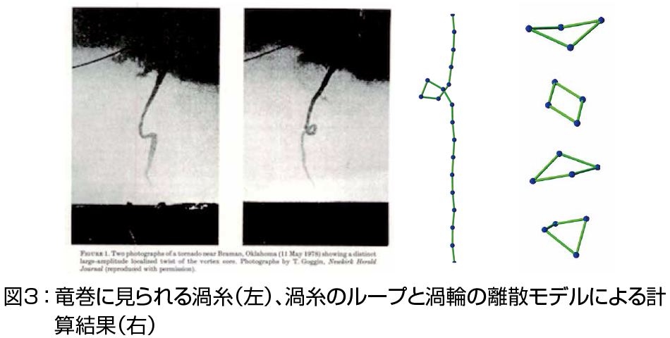 図３：  竜巻に見られる渦糸（左）、渦糸のループと渦輪の離散モデルによる計算結果（右）