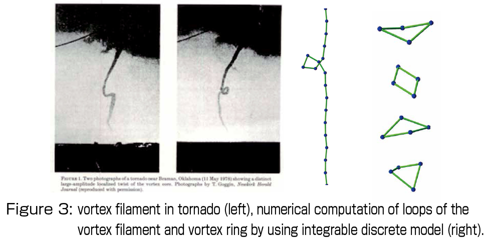 Figure 3: vortex filament in tornado (left), numerical computation of loops of the vortex filament and vortex ring by using integrable discrete model (right).
