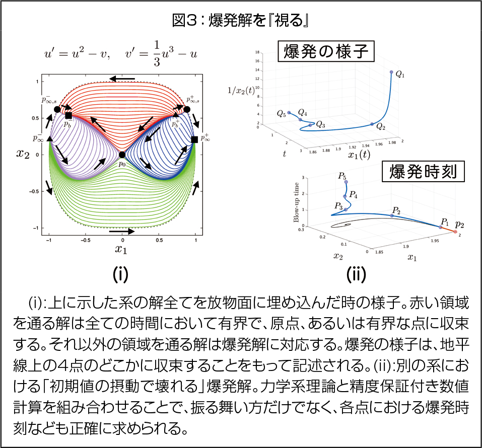 図3：爆発解を『視る』