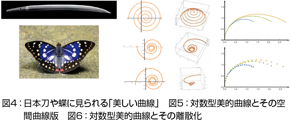 図４：  日本刀や蝶に見られる「美しい曲線」　図５：対数型美的曲線とその空間曲線版　図６：対数型美的曲線とその離散化
