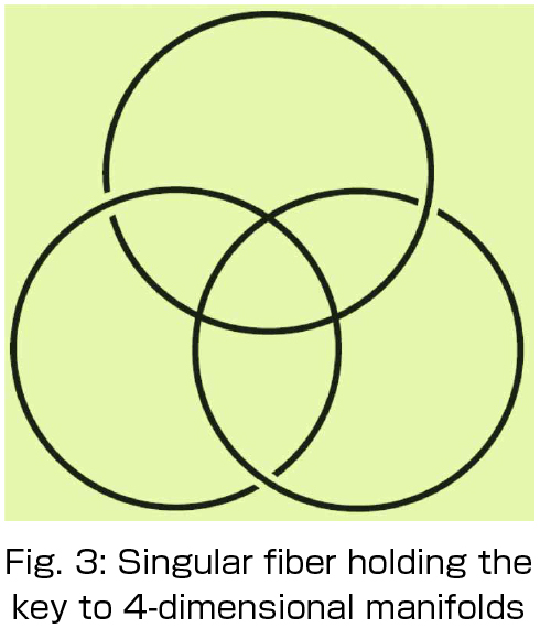 Fig. 3: Singular fiber holding the key to 4-dimensional manifolds